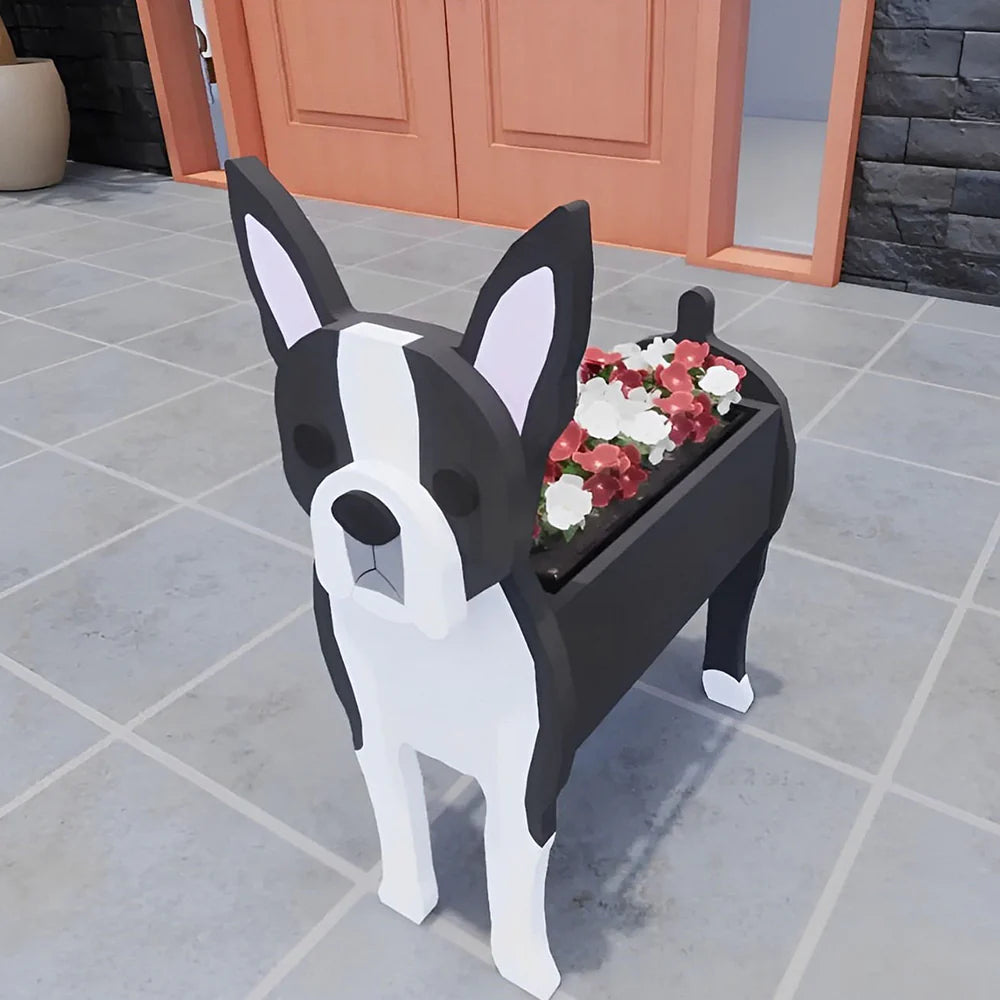 Boston Terrier