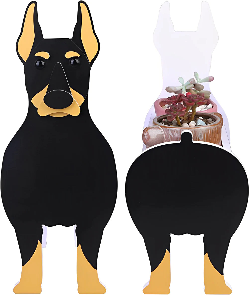 Doberman Pinscher