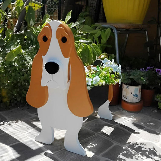 Basset Hound