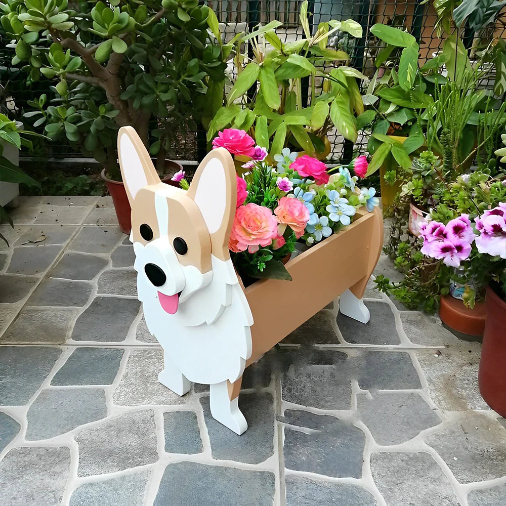 Corgi