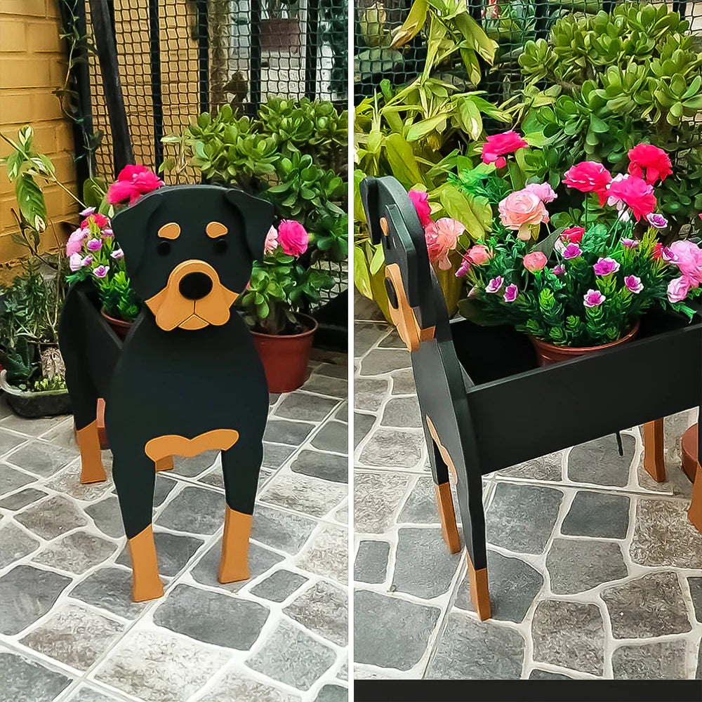 Rottweiler