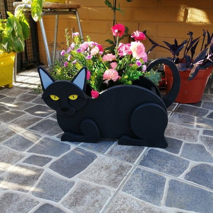 Black Cat